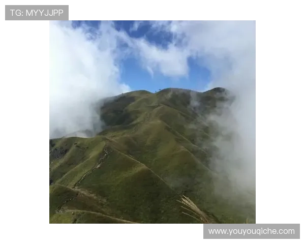 开云官网公告中关于产品更新和服务调整的详细信息解析